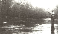 
Include shots of the angler casting and launching boats, and fishermen on streams.
